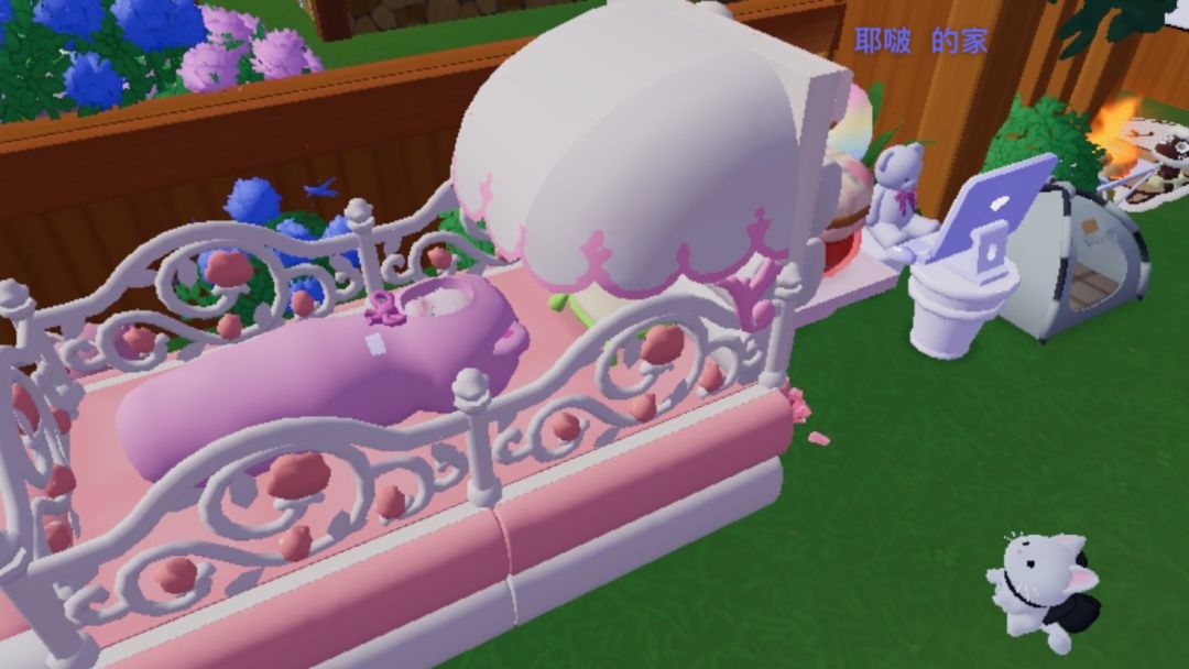 今天我是宝宝 嘻嘻嘻 3