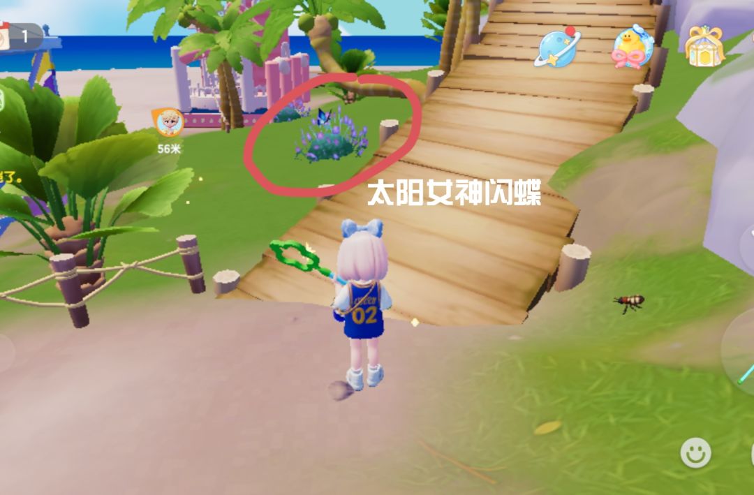 找不到的虫虫看这里！ 3