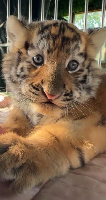 平民新手的一点感悟