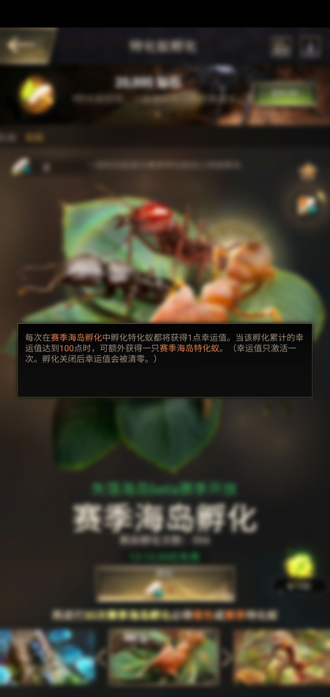 动态图片 6
