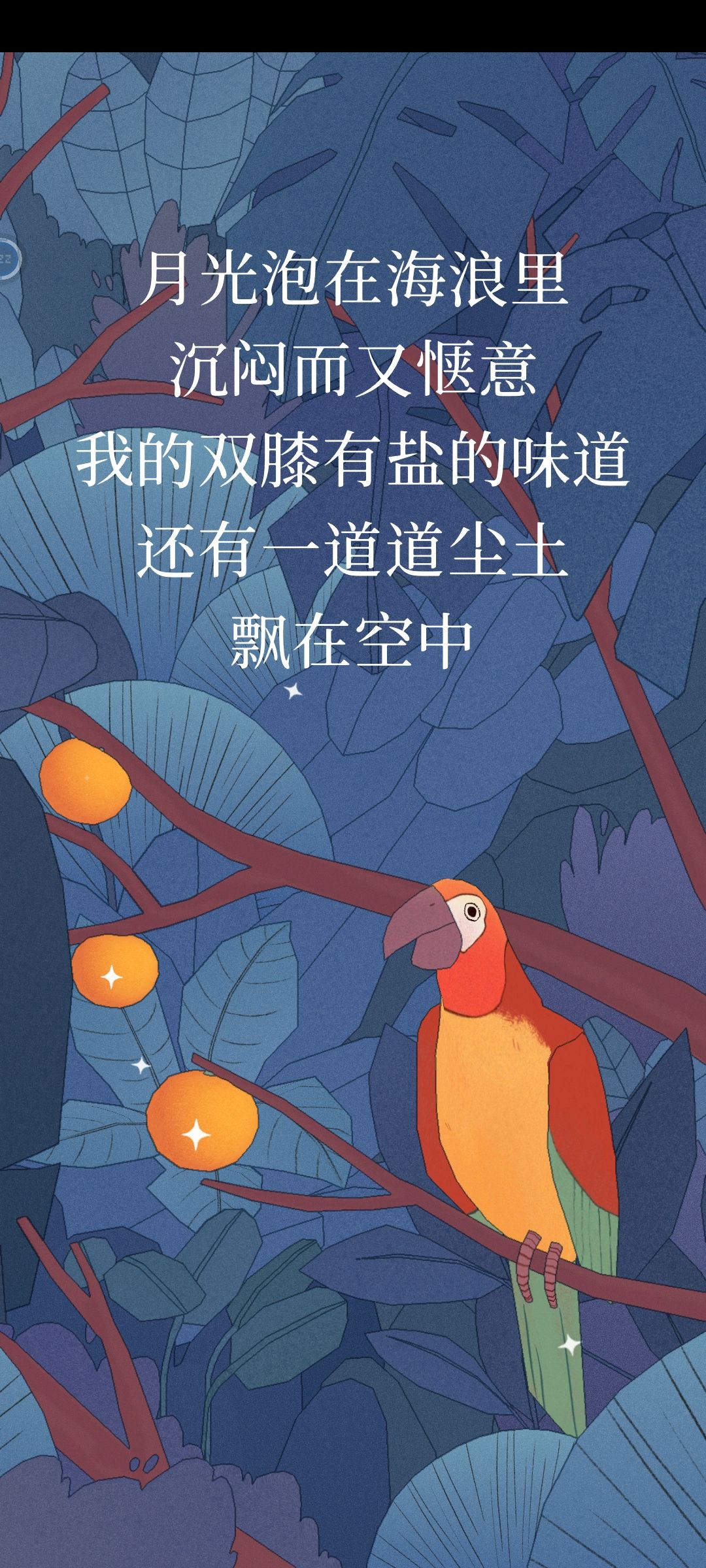 动态图片 5