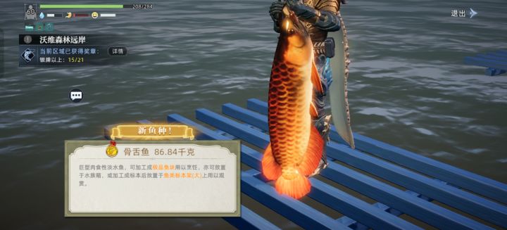 毕业经验贴(本次测试终章)2截图