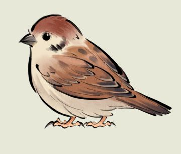 不定期图透~（6月19）