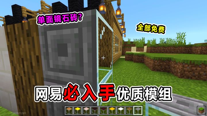 网易必入手优质模组！石头后面是镜子？这是什么情况？截图