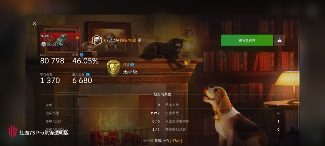 动态图片 16