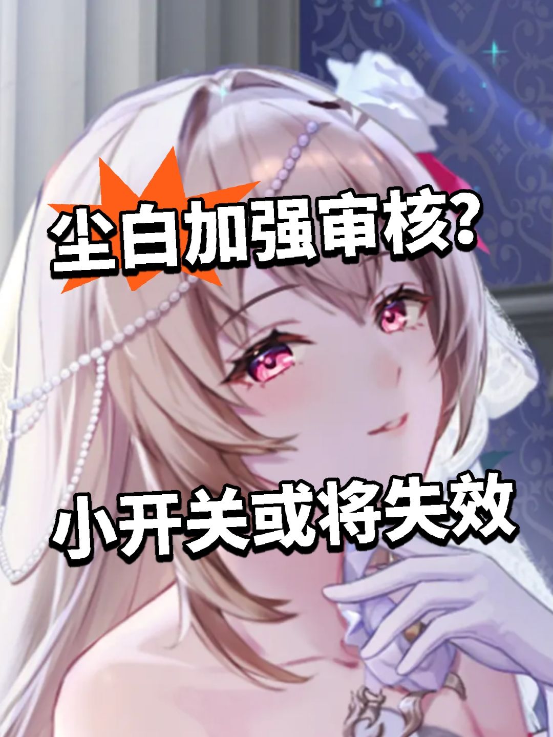 尘白加强审核?小开关或将失效 1