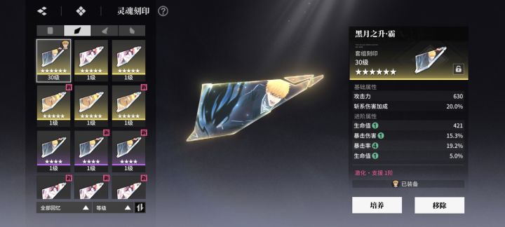 耗费了那么多突破粉和金币截图