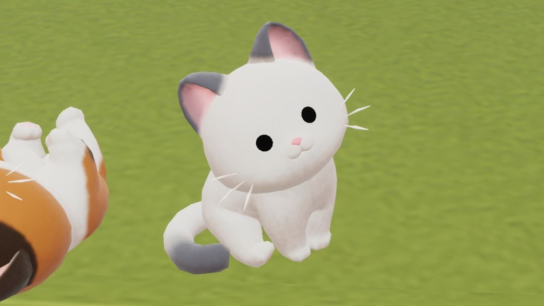今天刷到的小猫,米死我了🙉 1