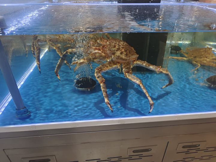 是一坨大的吗?手机能换绑吗????截图