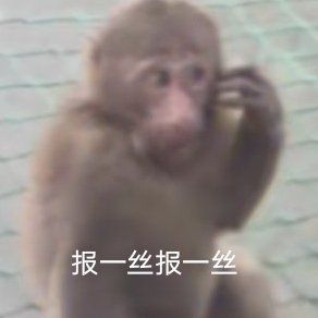 求助! 1