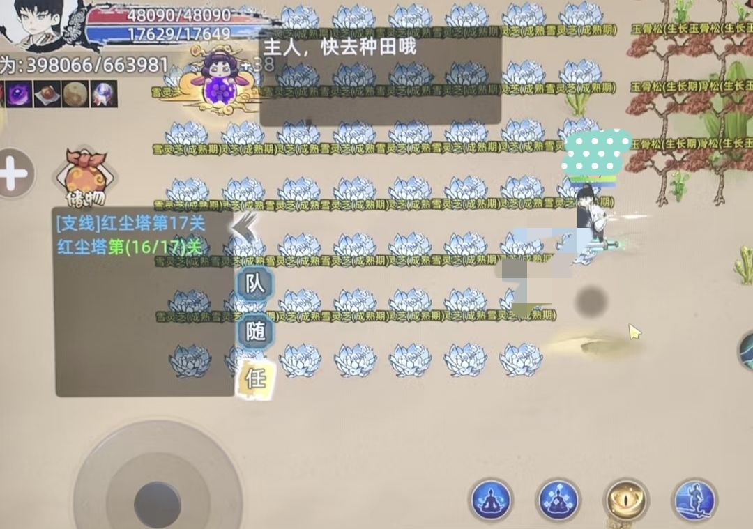 动态图片 4