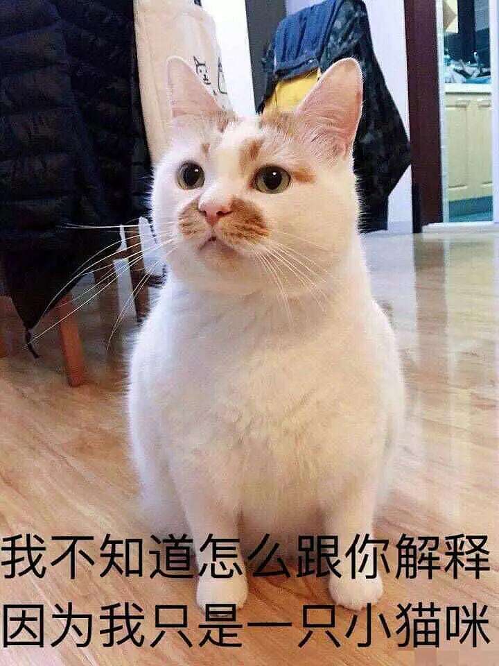 大伙选择用4星ssr火奶还是6星sr火奶? 1