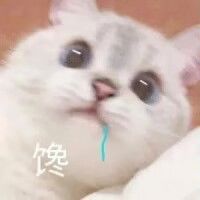 动态图片 4