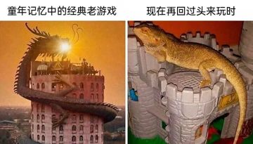 真 · 开发者日志01——方案敲定