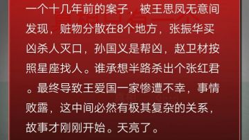 孙美琪疑案-第三案:王思凤