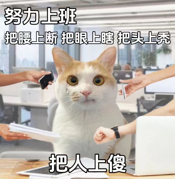 大块头异色奇丽草有没有搞头 1