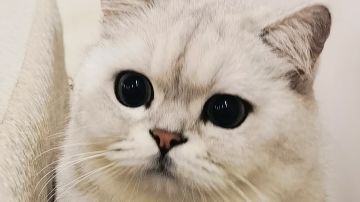 萌新入坑前入门避坑简略（一）