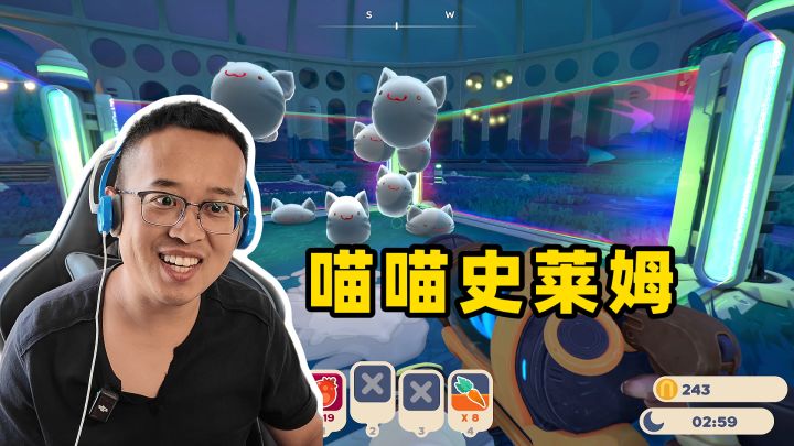 史莱姆牧场2：喵喵史莱姆10只，和谁合成比较好呢？截图