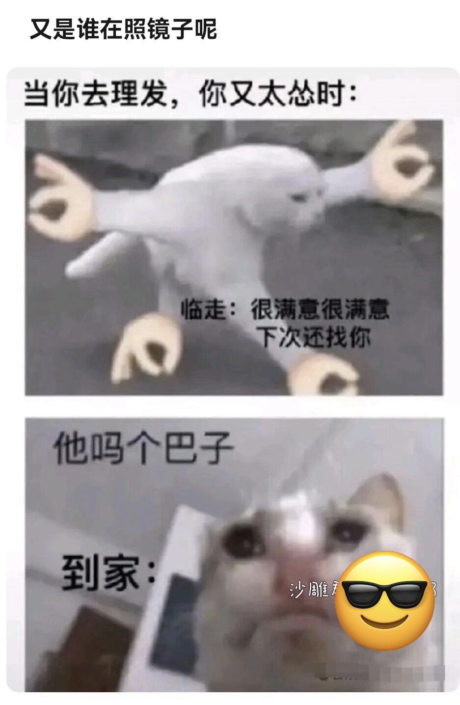 梗图分享~ 2