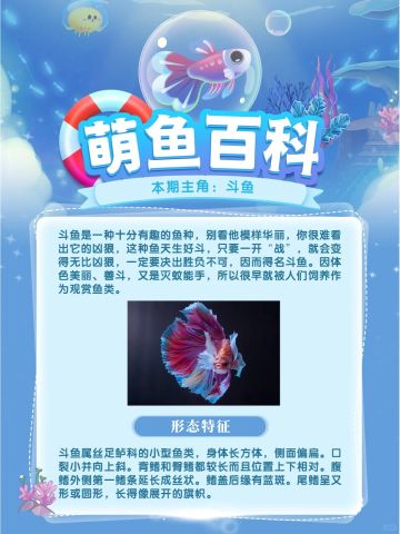 萌鱼百科丨第3期：斗鱼