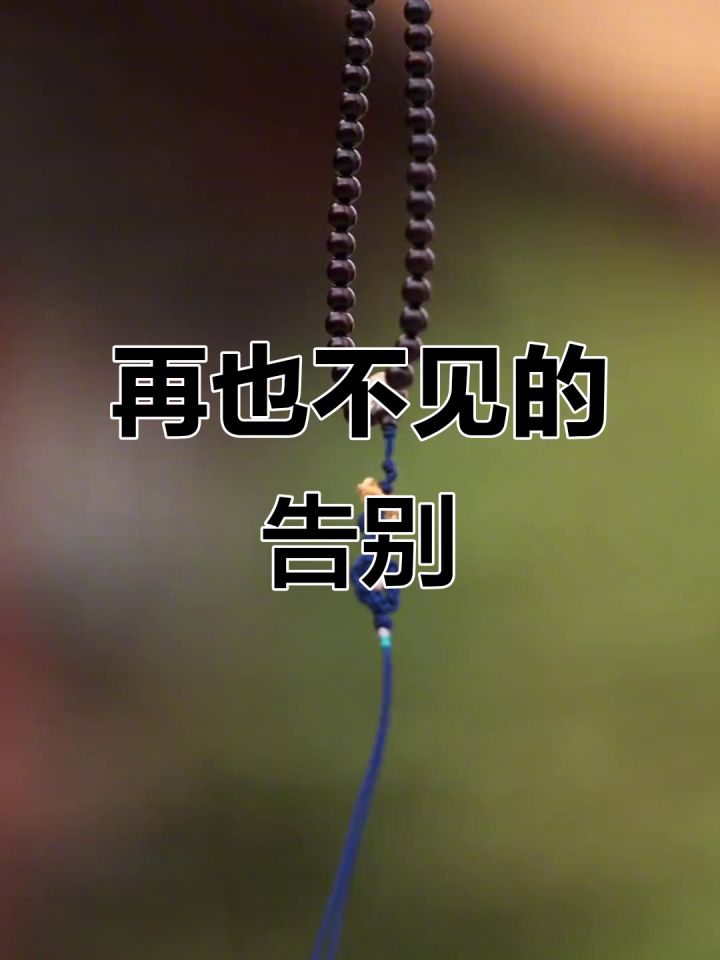 正式的和你告个别吧。截图