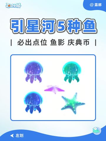 引星河 5种鱼海蜇海星 获取攻略 必出位置