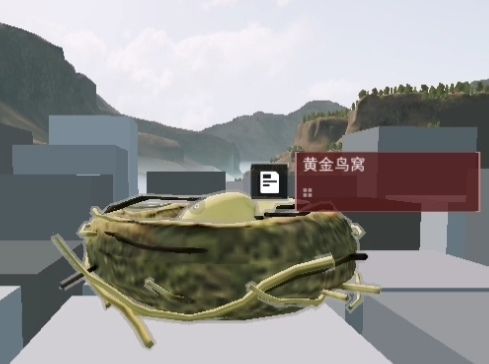 拿到鸟窝和彩蛋了 2