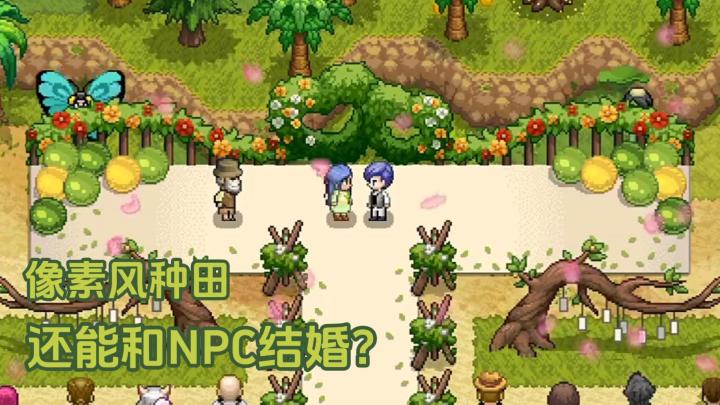 【TapTap年度游戏大赏】像素风种田，还能和NPC结婚？截图