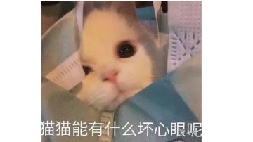 大致总结一下2023年年兽宴会3%以上作业用到的菜