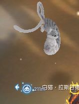 一条猫猫虫 2