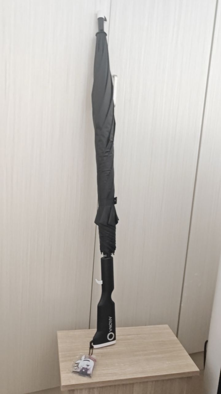 终于到了,好看,要是伞面有阿罗娜就更好了截图