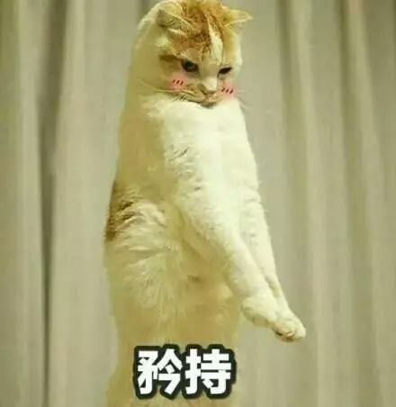 求助截图