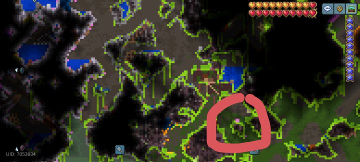 这个是花吗，平台上为什么不长花只能自己去找[表情_微笑]截图