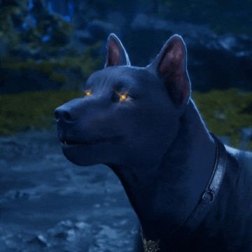 机缘降临 | 黑皇表情包来袭！准备好迎接你们的皇！