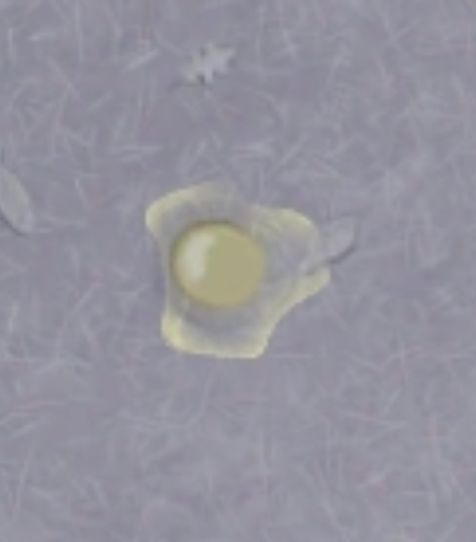 阿瑞斯猜子弹 2