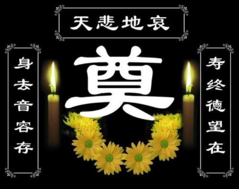 悼本机坦克世界闪击战君 1