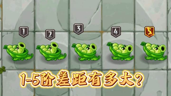 植物大战僵尸:军炮的成长史,1-5阶差异如此巨大?截图