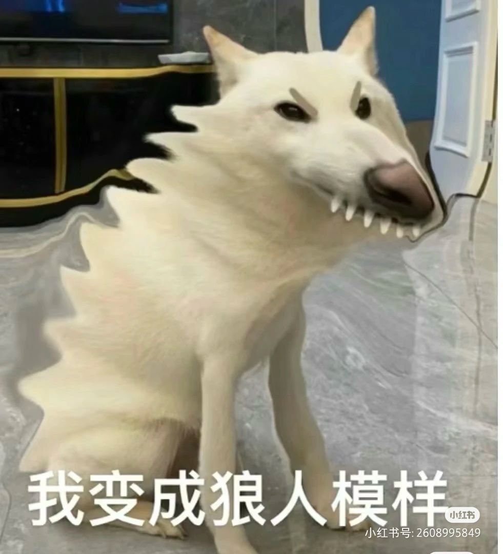 这咋上啊大哥们青鸾差一个😄 4