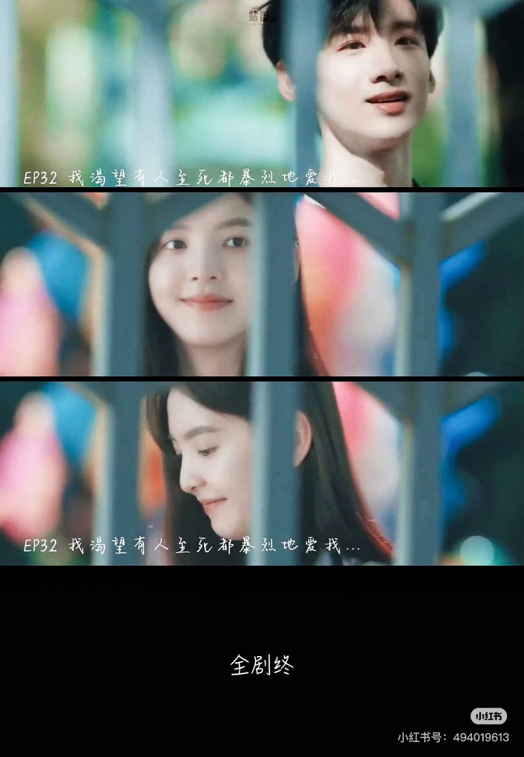 动态图片 12