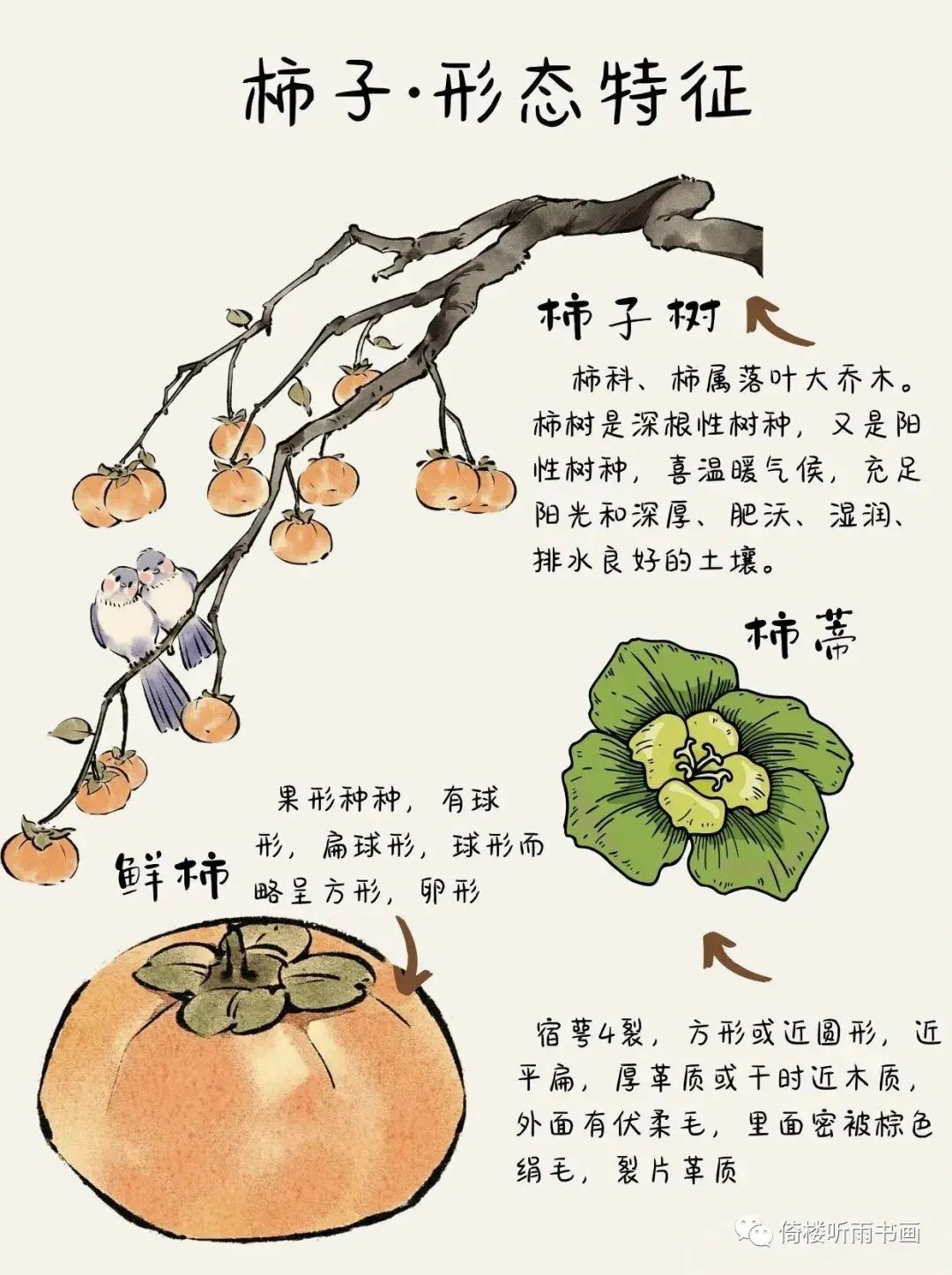 下雪了呀！ 3