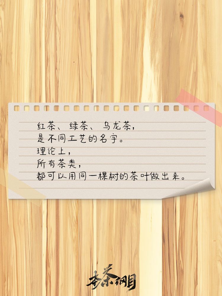 一起来找茶-谁是大红袍! 3