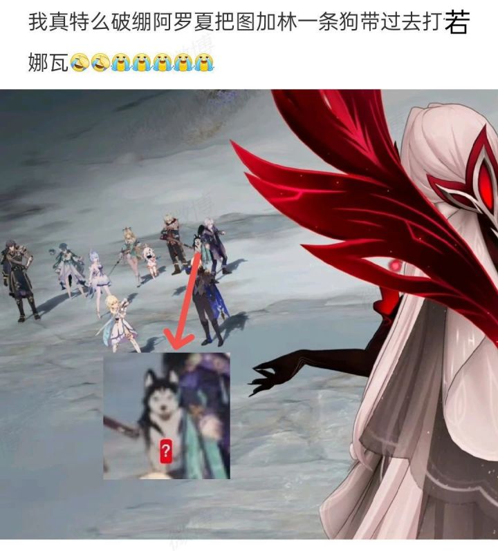 【原神安利】我真服了!阿罗夏把图加林一条狗带进去打若娜瓦截图