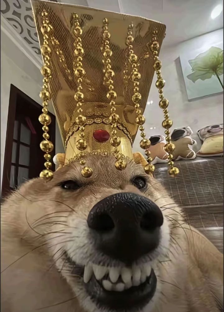还有半个月就预约满一年了,期待中截图