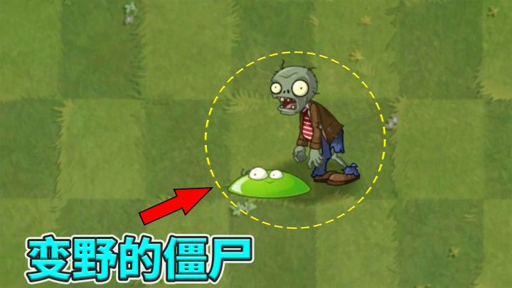 植物大战僵尸2:当植物遇上变野的僵尸!截图