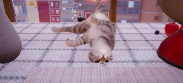 希望猫猫越做越好，期待公测！