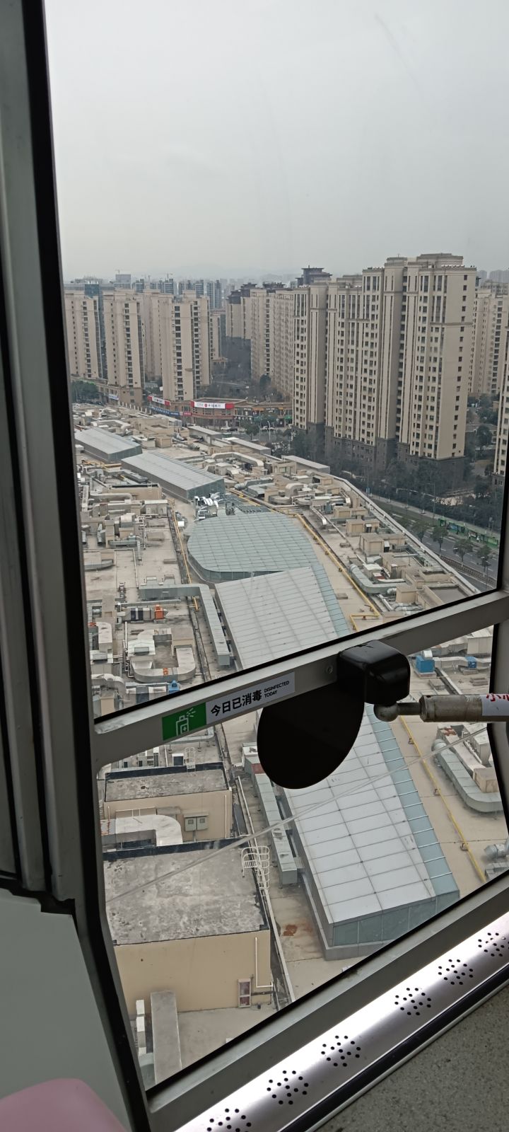 寒食踏青第四天截图