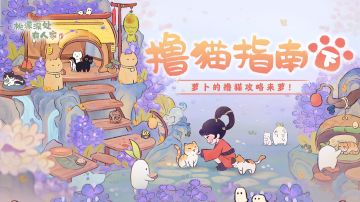 萝萝山撸猫指南下篇：相伴