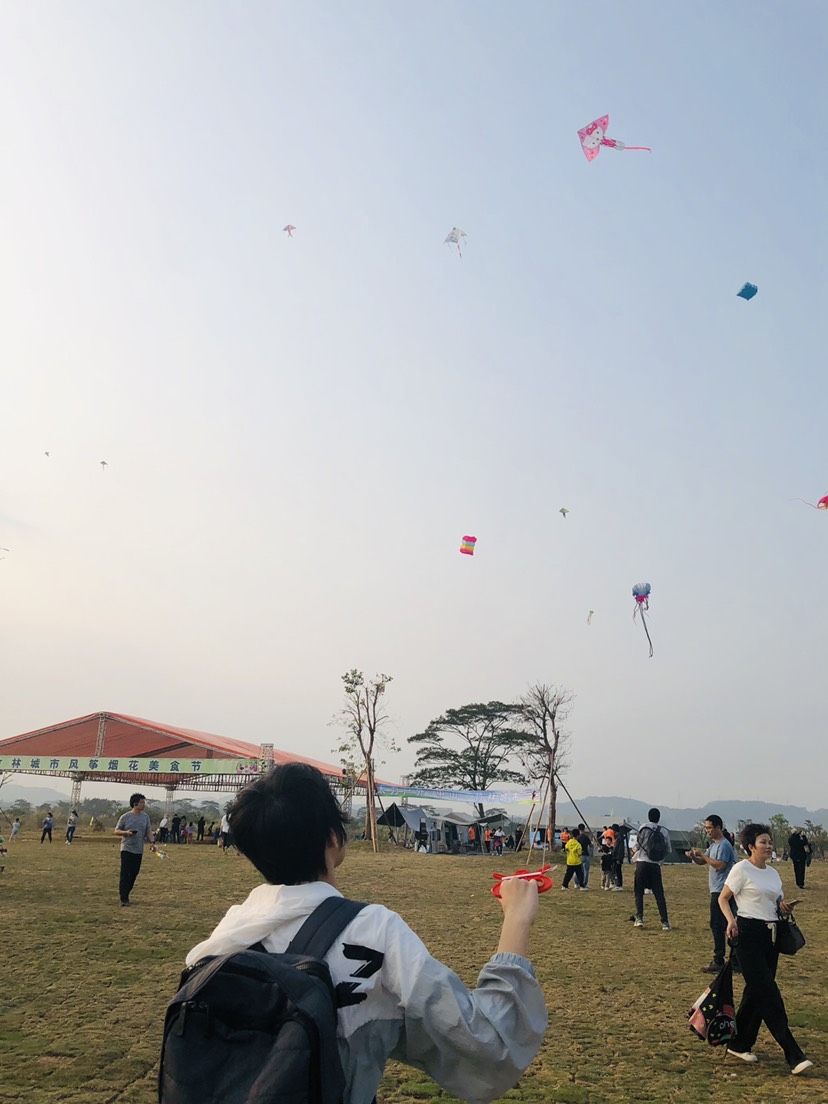动态图片 3