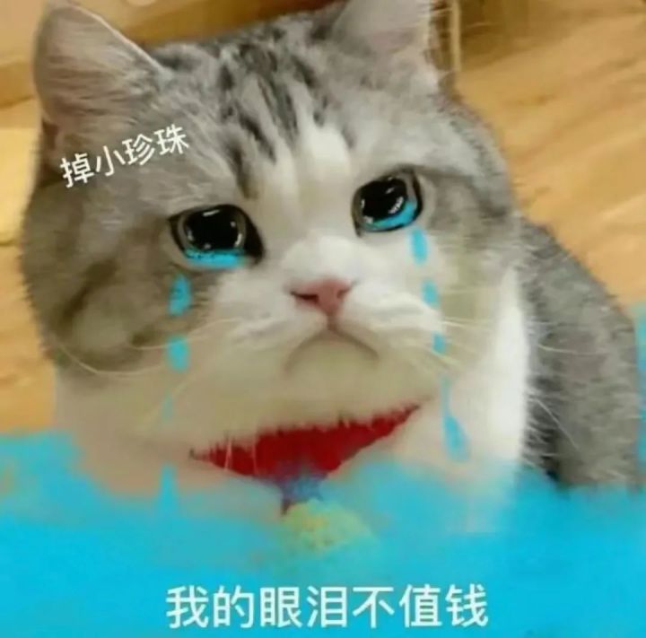 有人玩天顶没截图