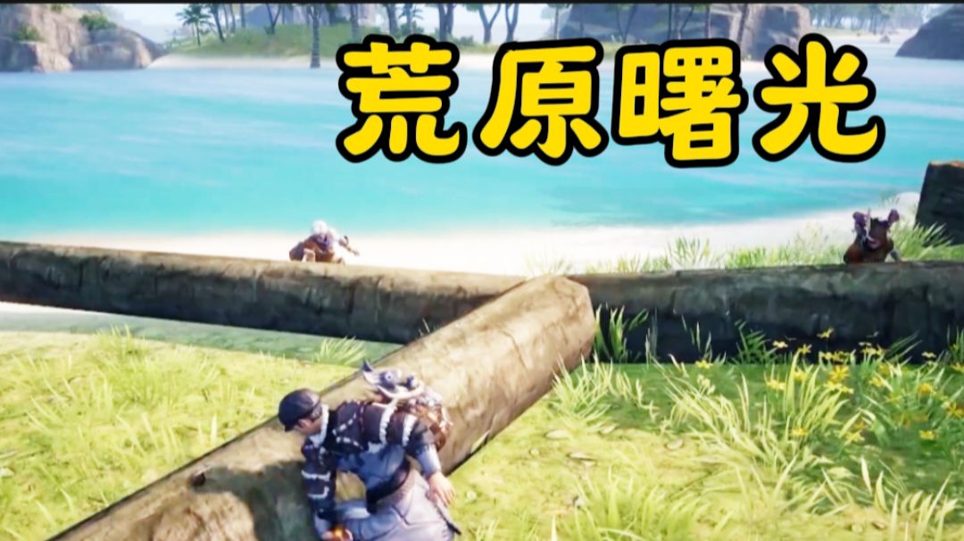 荒原曙光攻略截图